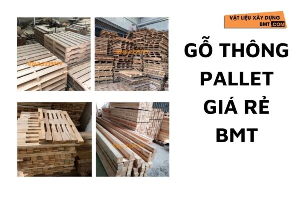 Các loại gỗ thông pallet giá rẻ tại Đăk Lăk