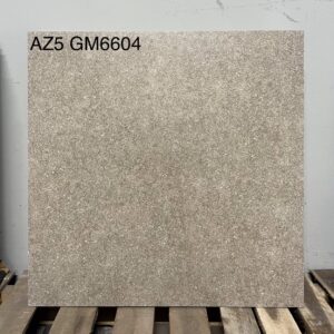 Gạch Ốp Lát Cao Cấp 600*600mm AZ5 GM6604