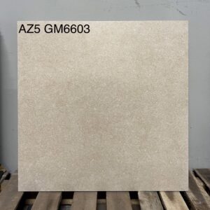 Gạch Ốp Lát Cao Cấp 600*600mm AZ5 GM6603