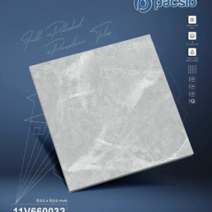 Gạch Men Hiện Đại 60*60 11V660032