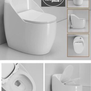 Bồn cầu mẫu mới