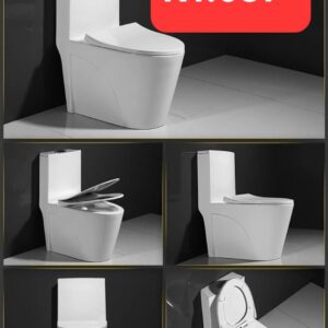 Bồn cầu mẫu mới