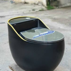 Bồn cầu mẫu mới