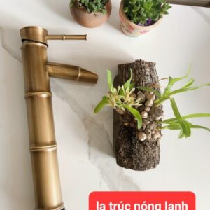 Các mẫu vòi labo