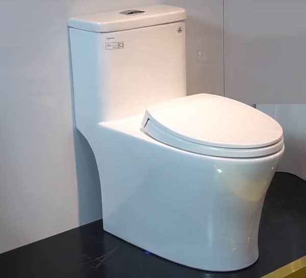 Bán bồn cầu Viclagera tại Buôn Ma Thuột 4 bon cau lien khoi viglacera v63